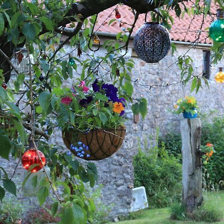 Hill View Bed & Breakfast Binegar Dış mekan fotoğraf